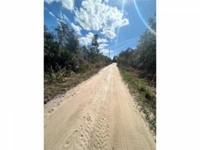 Residential Land For Sale in Altoona, Florida