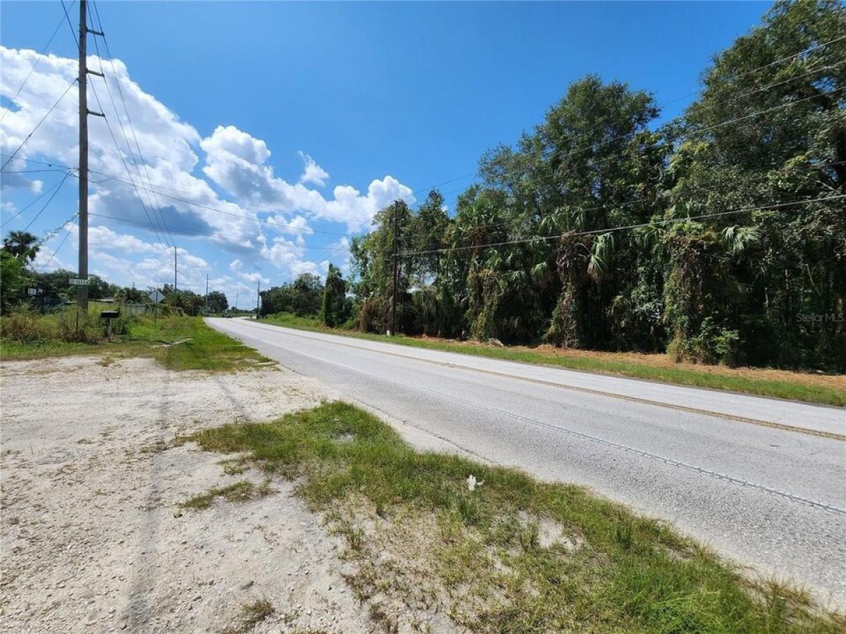 Picture of Residential Land For Sale in Weirsdale, Florida, United States