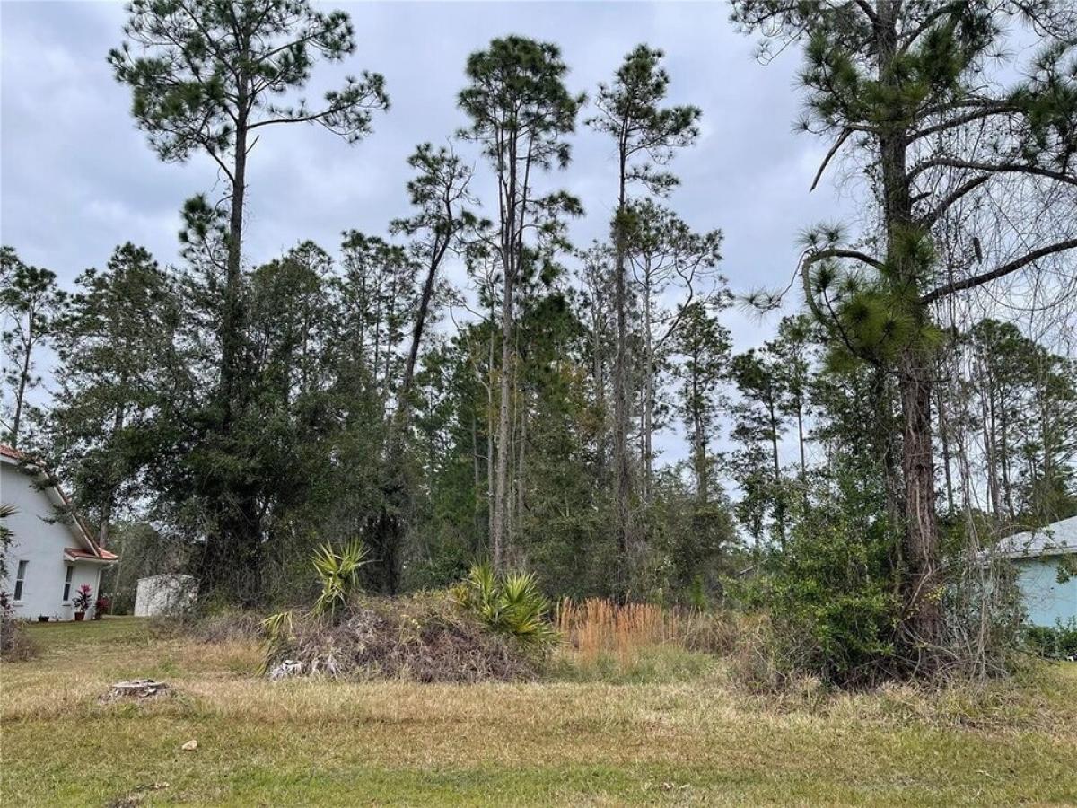 Picture of Residential Land For Sale in Palm Coast, Florida, United States