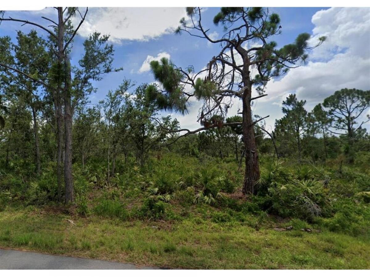 Picture of Residential Land For Sale in Port Charlotte, Florida, United States