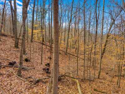 Residential Land For Sale in Dandridge, Tennessee
