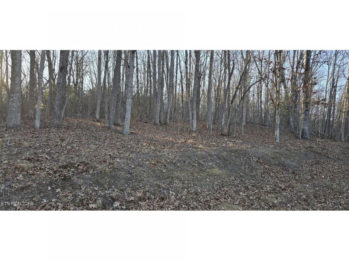 Picture of Residential Land For Rent in Fairfield Glade, Tennessee, United States