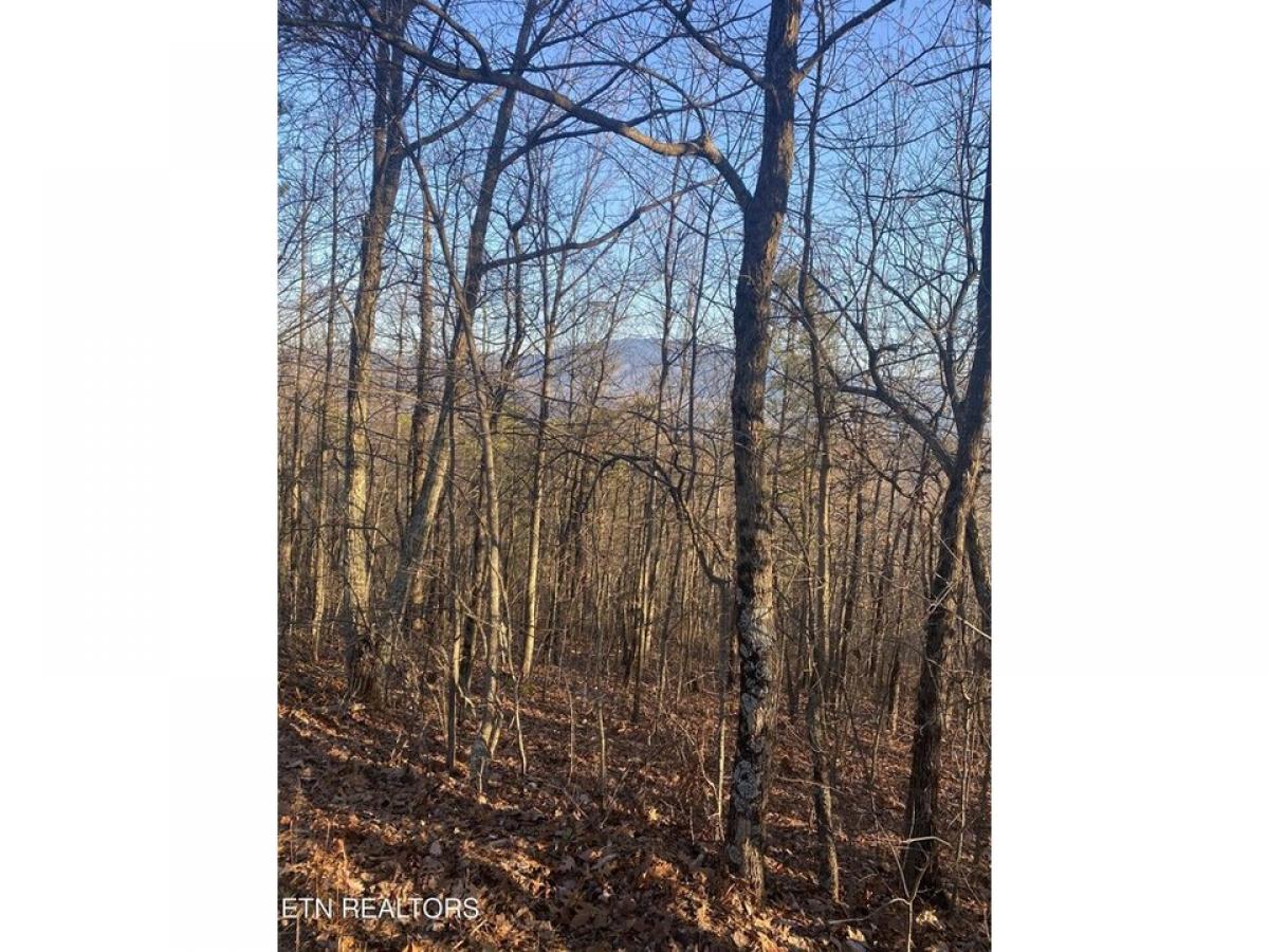 Picture of Residential Land For Sale in Gatlinburg, Tennessee, United States