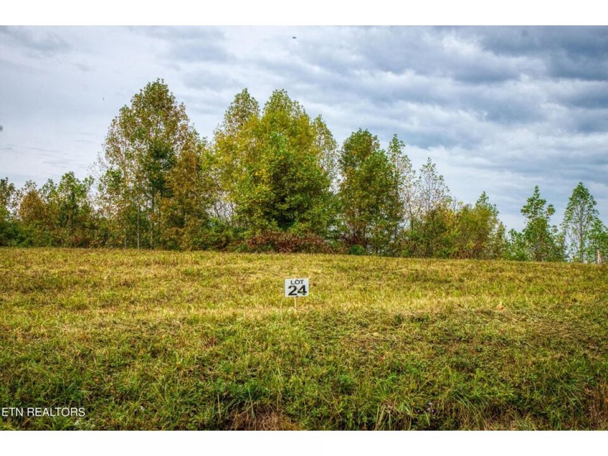 Picture of Residential Land For Sale in Allardt, Tennessee, United States