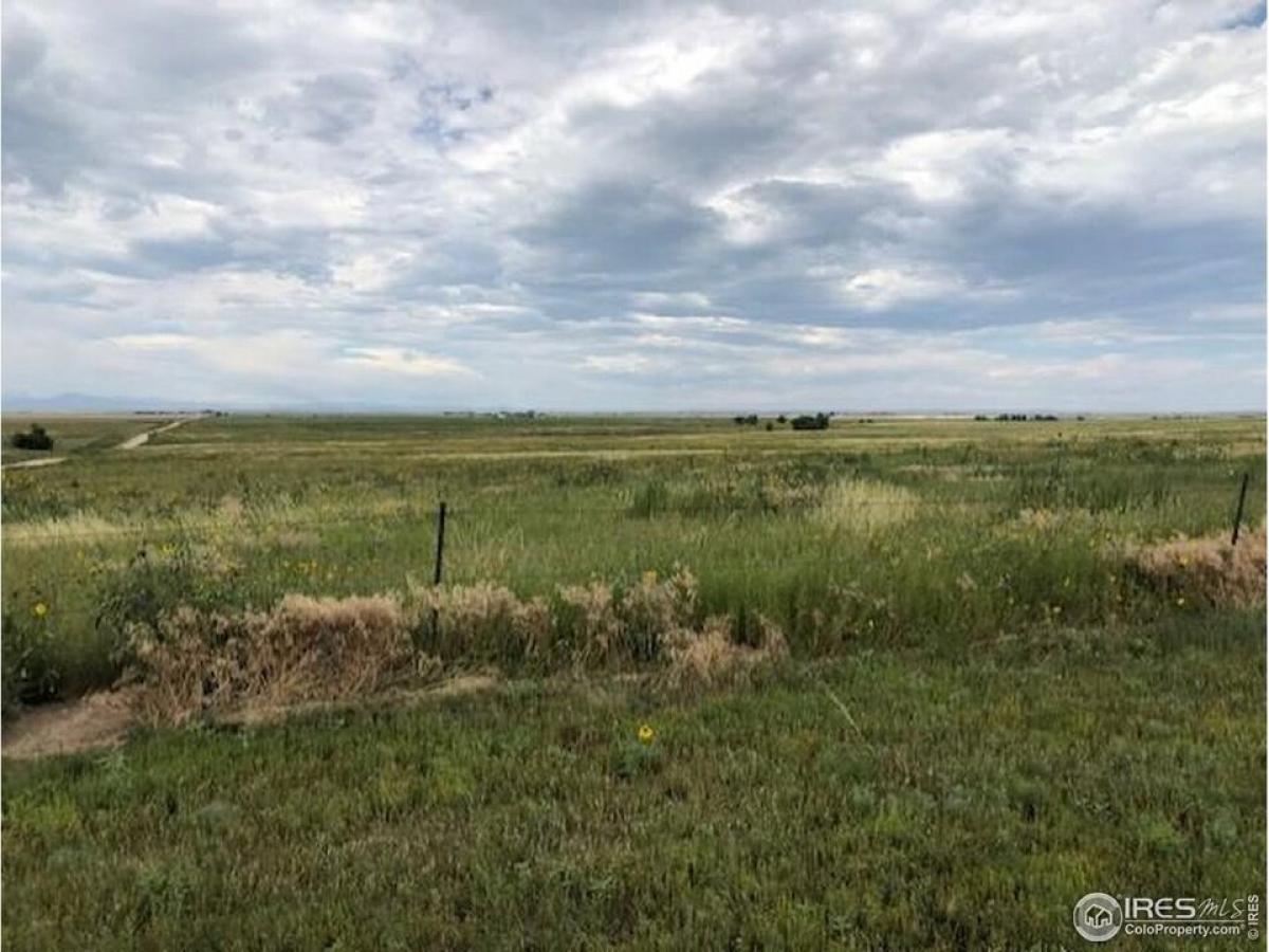 Picture of Residential Land For Sale in Pierce, Colorado, United States