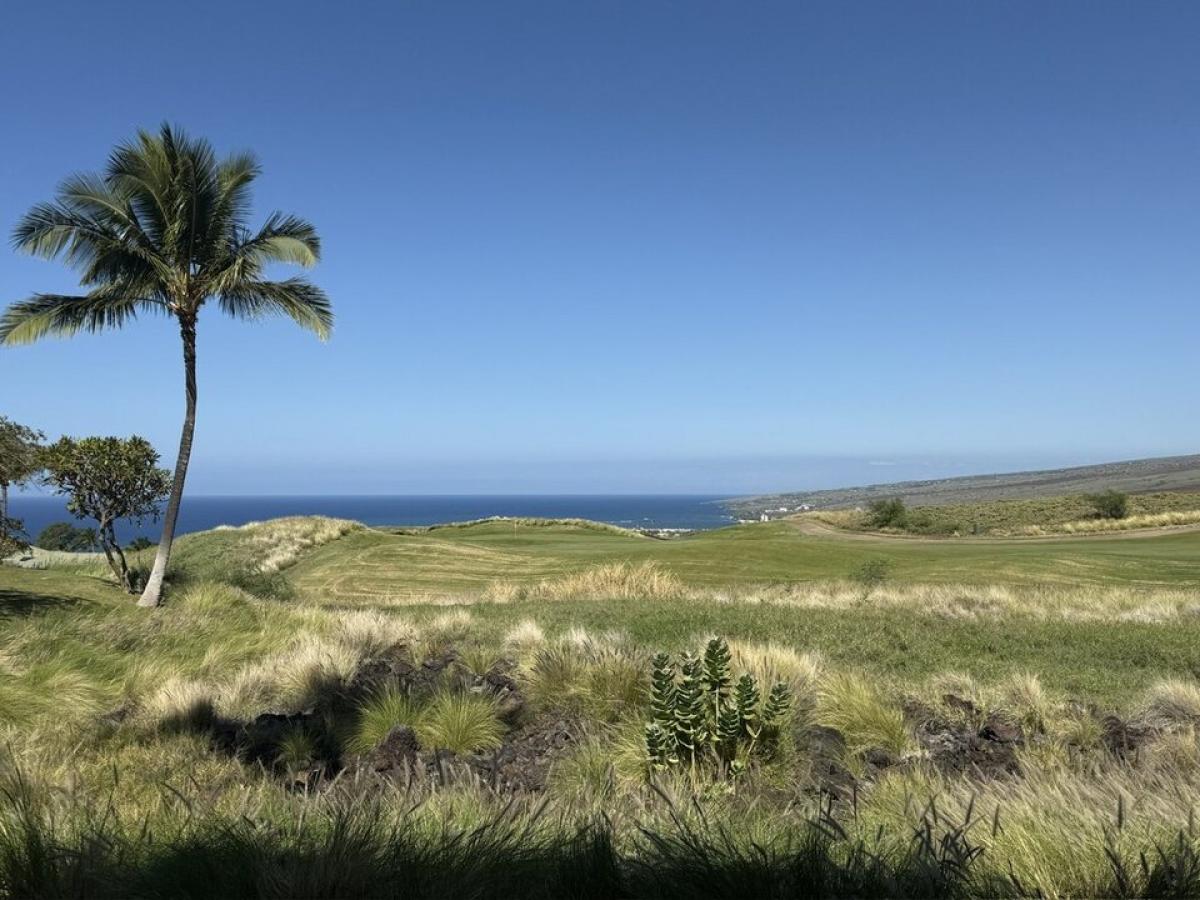 Picture of Home For Sale in Kamuela, Hawaii, United States