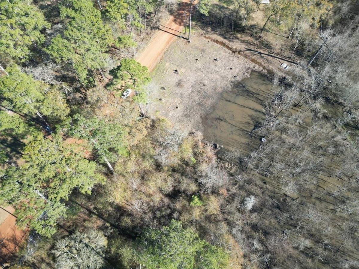 Picture of Residential Land For Sale in Plantersville, Texas, United States