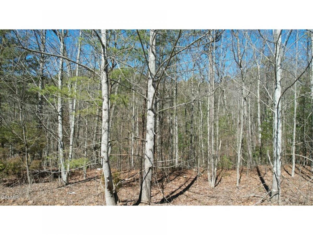 Picture of Residential Land For Sale in Walland, Tennessee, United States