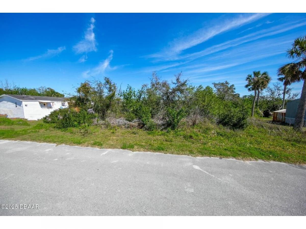 Picture of Residential Land For Sale in Port Orange, Florida, United States