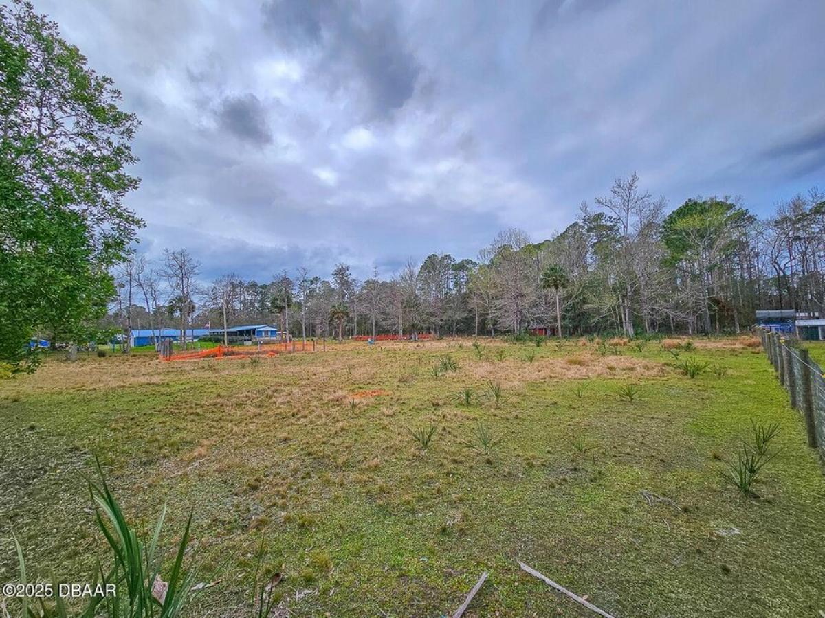 Picture of Residential Land For Sale in Bunnell, Florida, United States