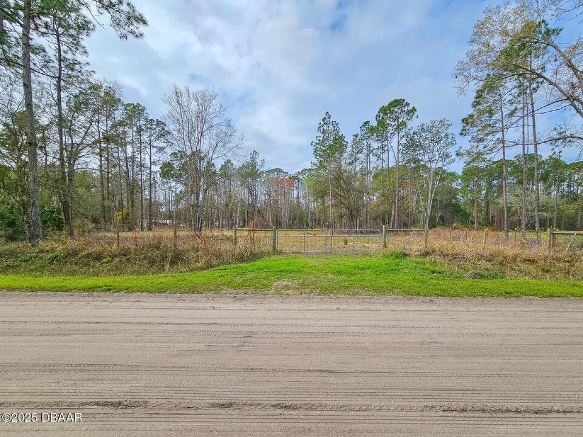 Picture of Residential Land For Sale in Bunnell, Florida, United States