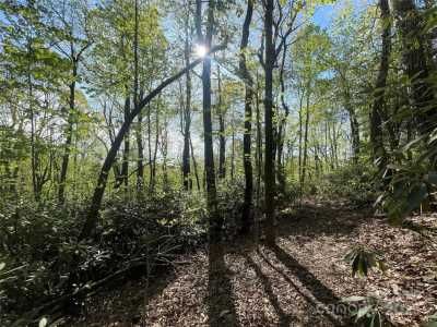 Residential Land For Sale in Flat Rock, North Carolina