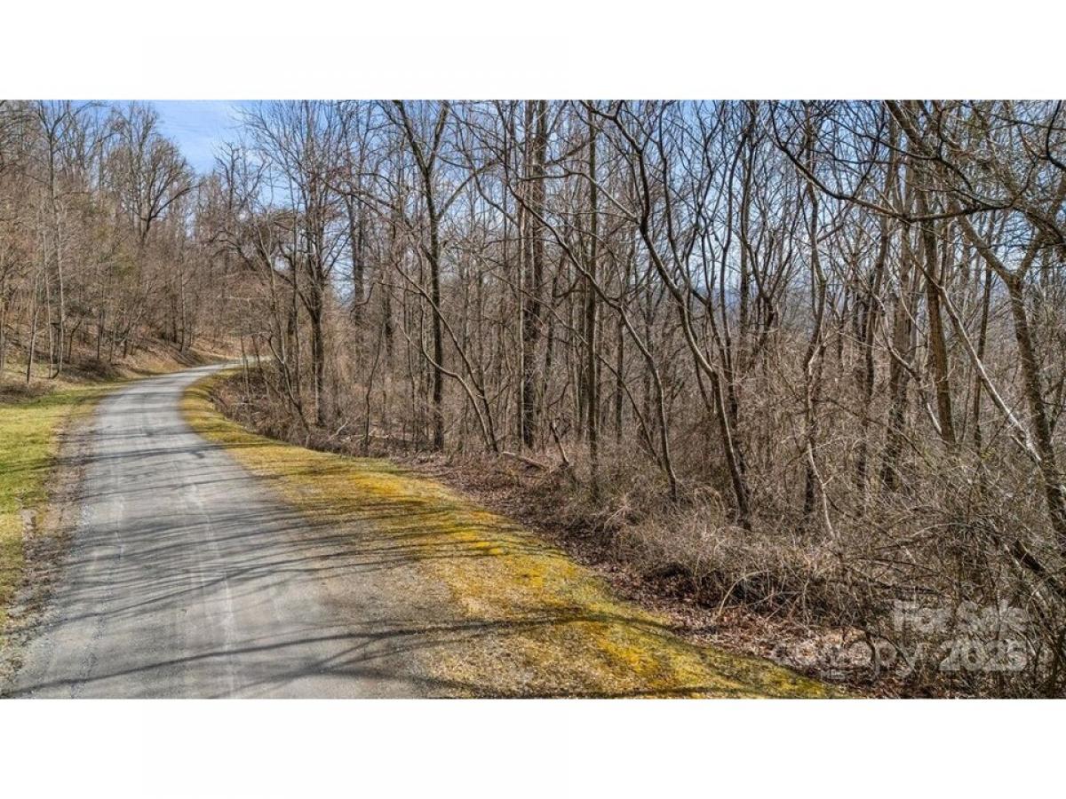 Picture of Residential Land For Sale in Waynesville, North Carolina, United States
