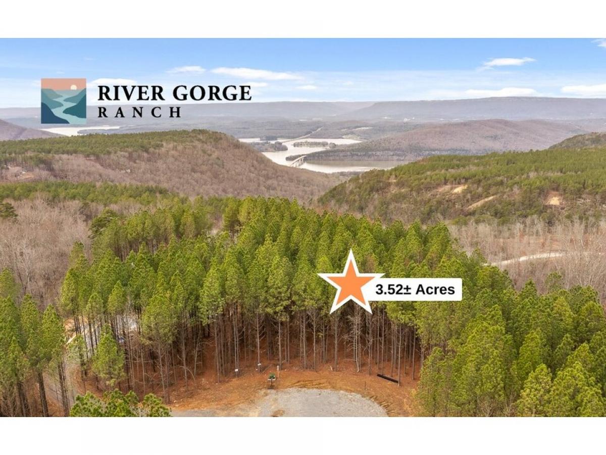 Picture of Residential Land For Sale in Guild, Tennessee, United States