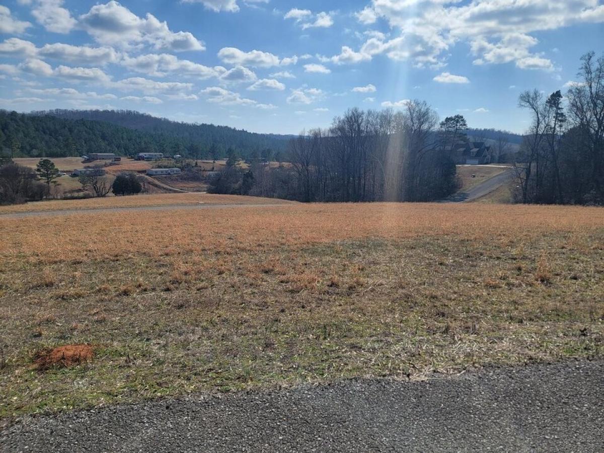 Picture of Residential Land For Sale in Decatur, Tennessee, United States