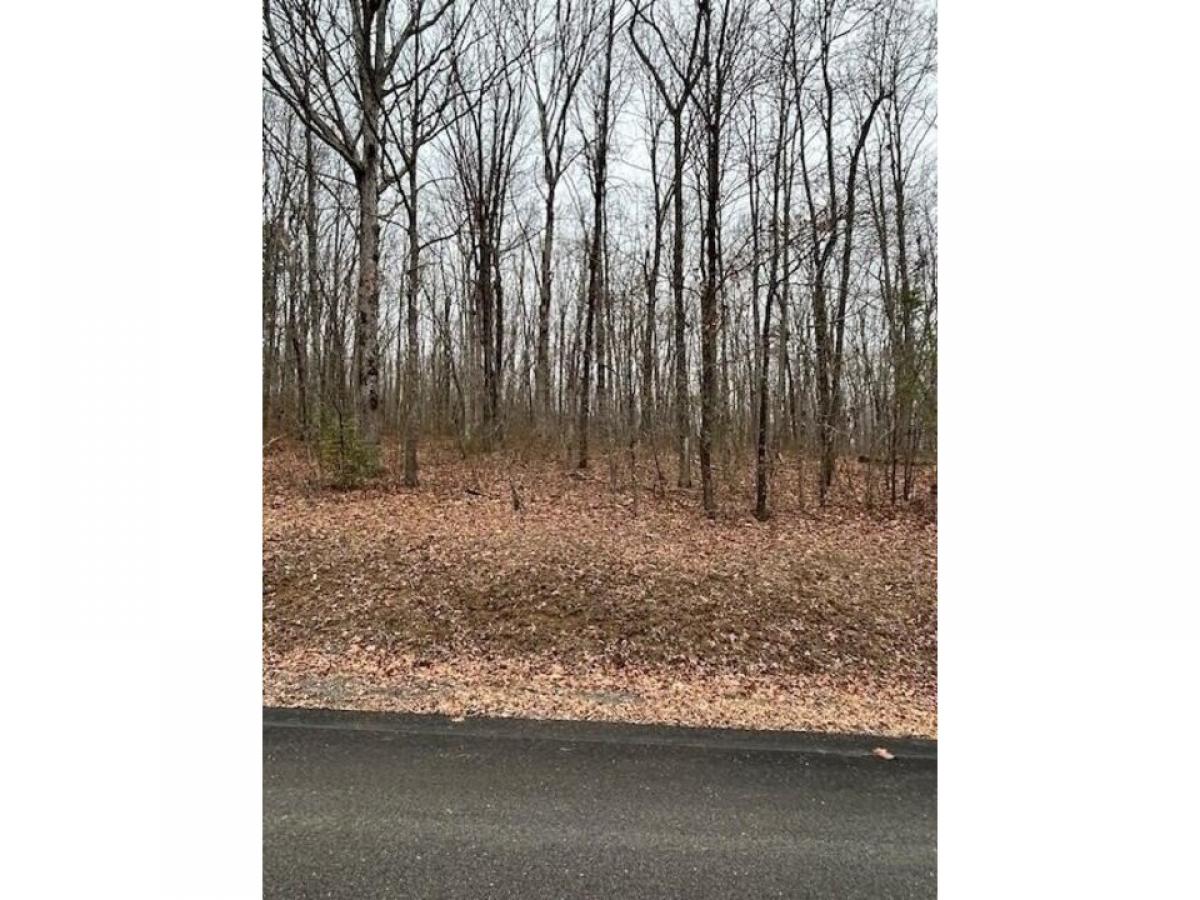 Picture of Residential Land For Sale in Signal Mountain, Tennessee, United States