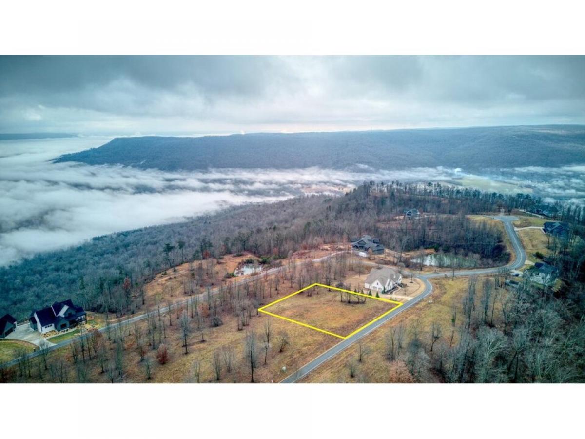 Picture of Residential Land For Sale in Jasper, Tennessee, United States