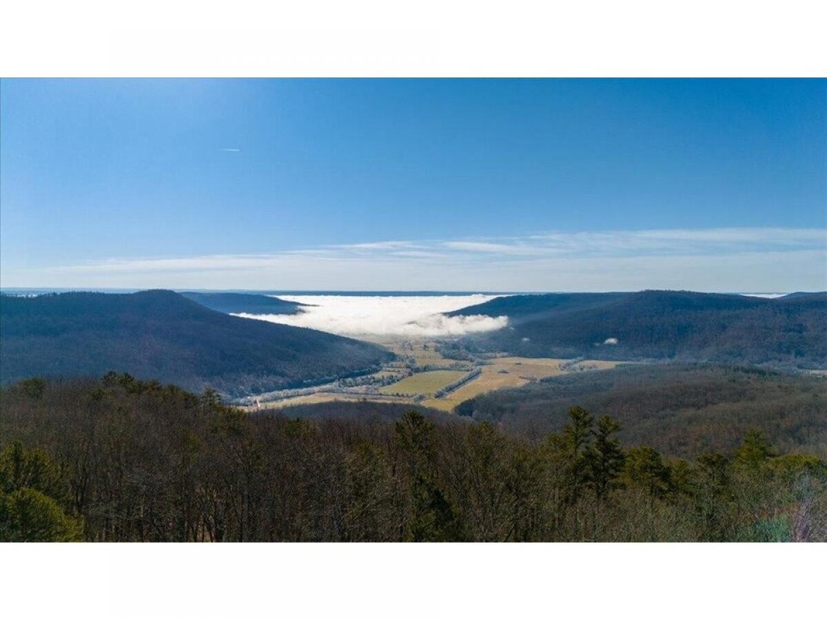 Picture of Residential Land For Sale in South Pittsburg, Tennessee, United States