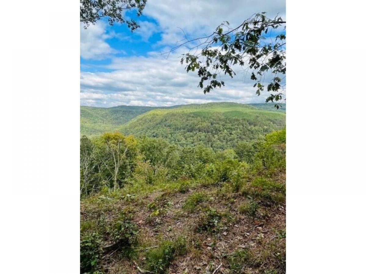 Picture of Residential Land For Sale in Guild, Tennessee, United States