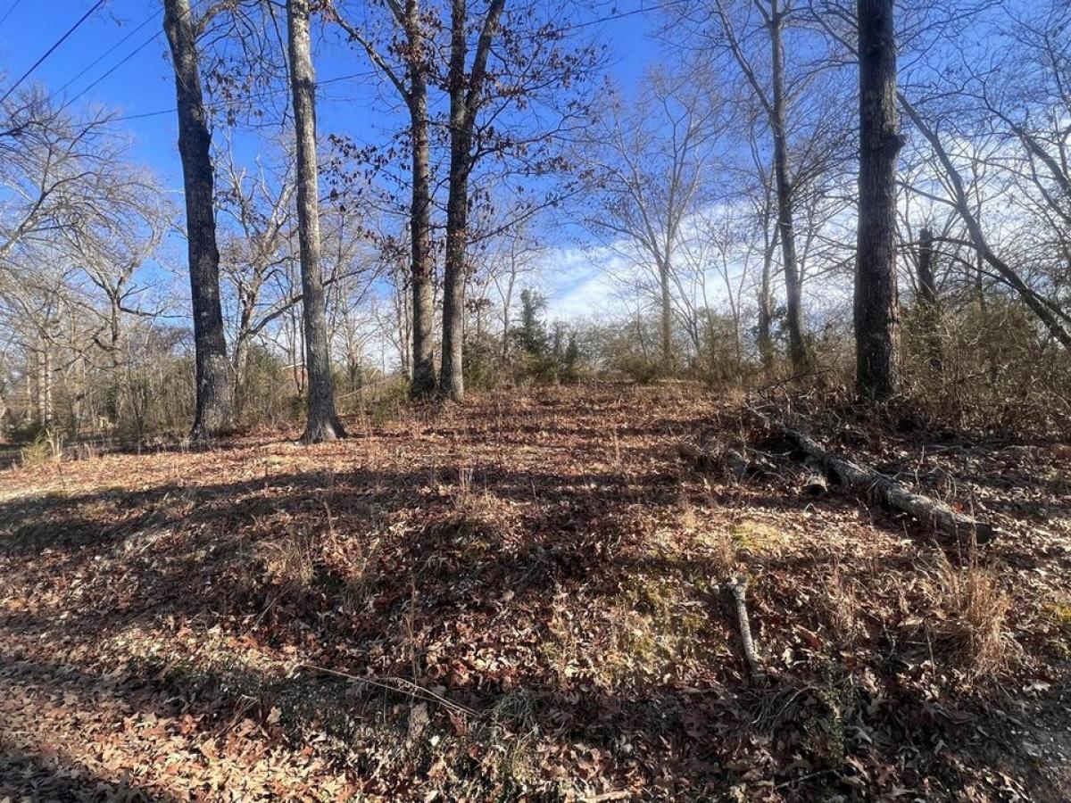 Picture of Residential Land For Sale in Bridgeport, Alabama, United States