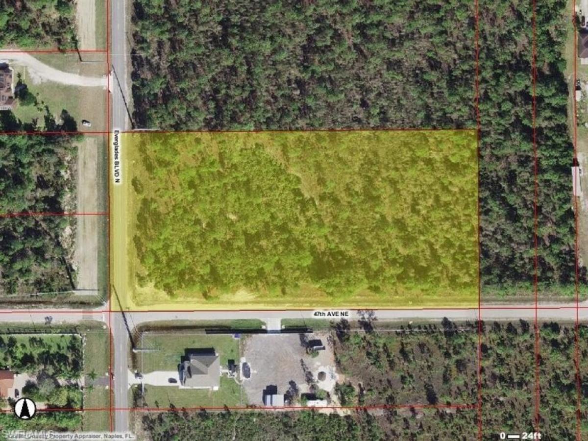Picture of Residential Land For Sale in Naples, Florida, United States