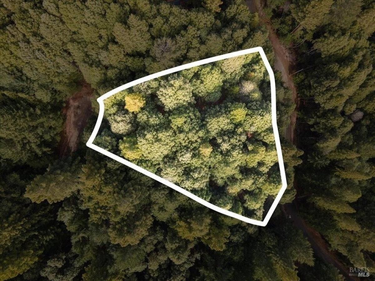 Picture of Residential Land For Sale in Willits, California, United States