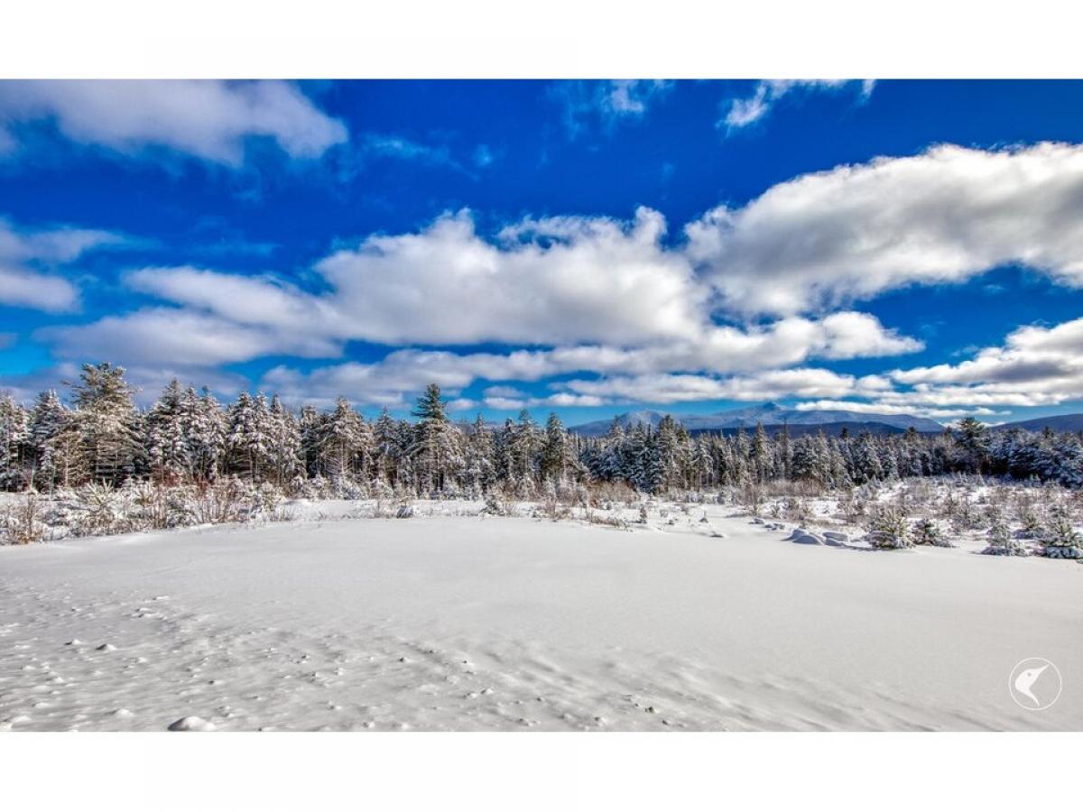 Picture of Residential Land For Sale in Vermontville, New York, United States