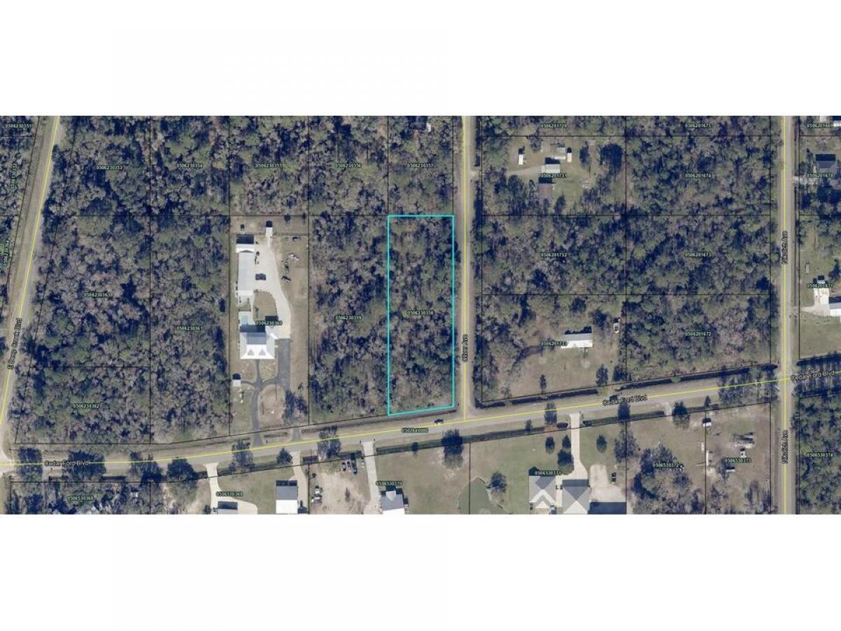 Picture of Residential Land For Sale in Hastings, Florida, United States