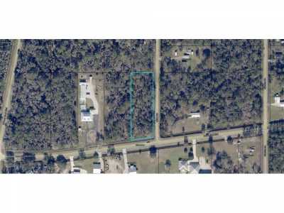 Residential Land For Sale in Hastings, Florida