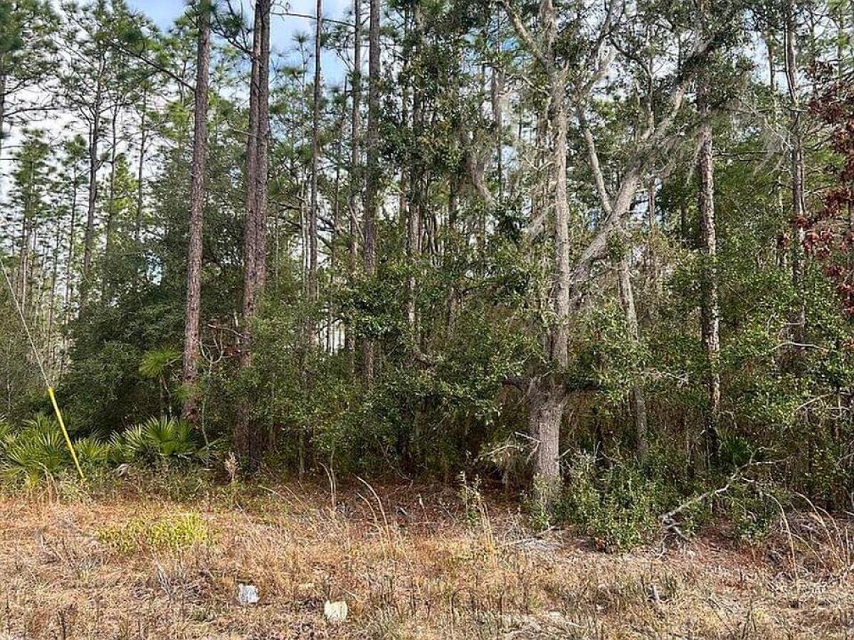 Picture of Residential Land For Sale in Keystone Heights, Florida, United States
