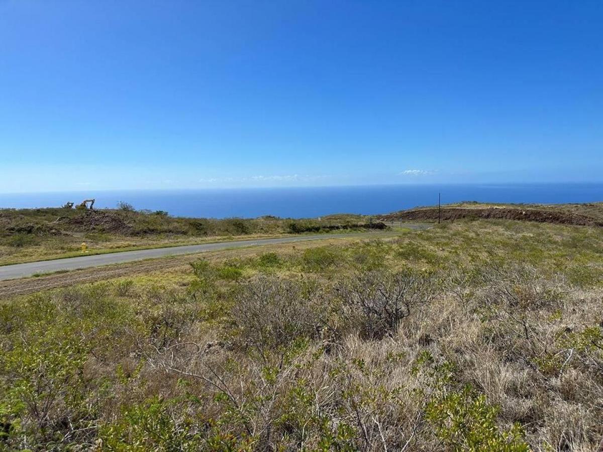 Picture of Residential Land For Sale in Kapaau, Hawaii, United States