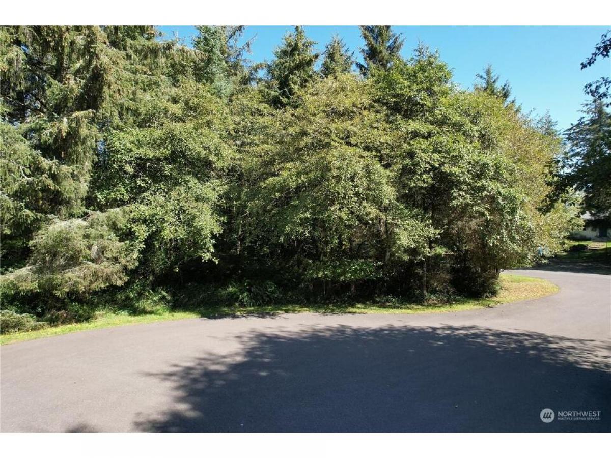 Picture of Residential Land For Sale in Ocean Shores, Washington, United States