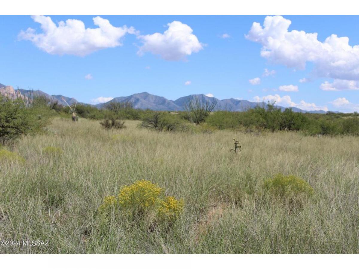 Picture of Residential Land For Sale in Saint David, Arizona, United States