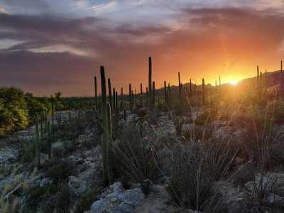 Residential Land For Sale in Tucson, Arizona