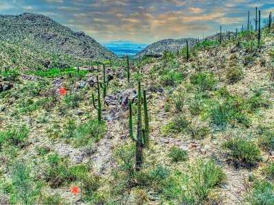 Residential Land For Sale in Marana, Arizona