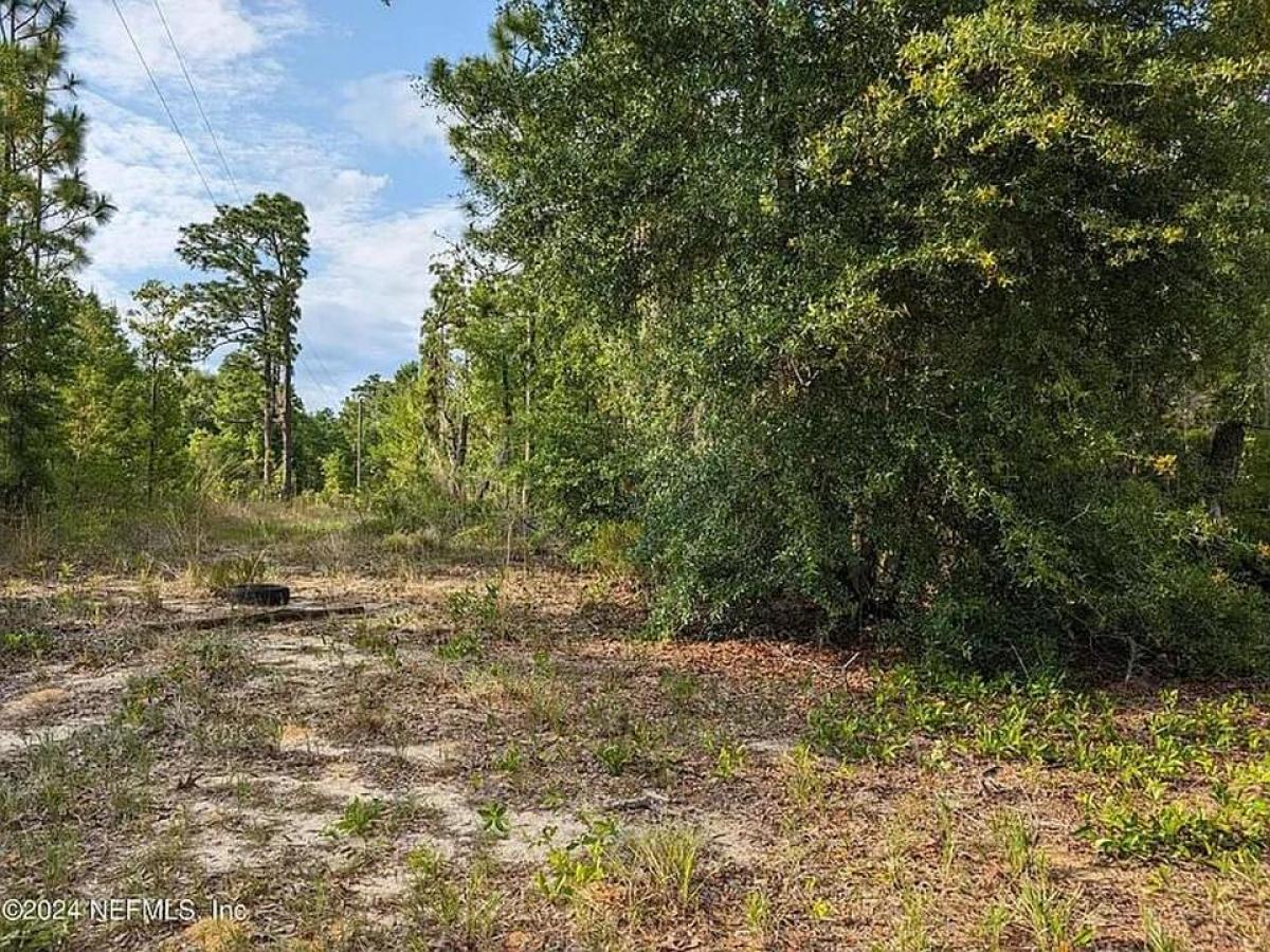 Picture of Residential Land For Sale in Hawthorne, Florida, United States