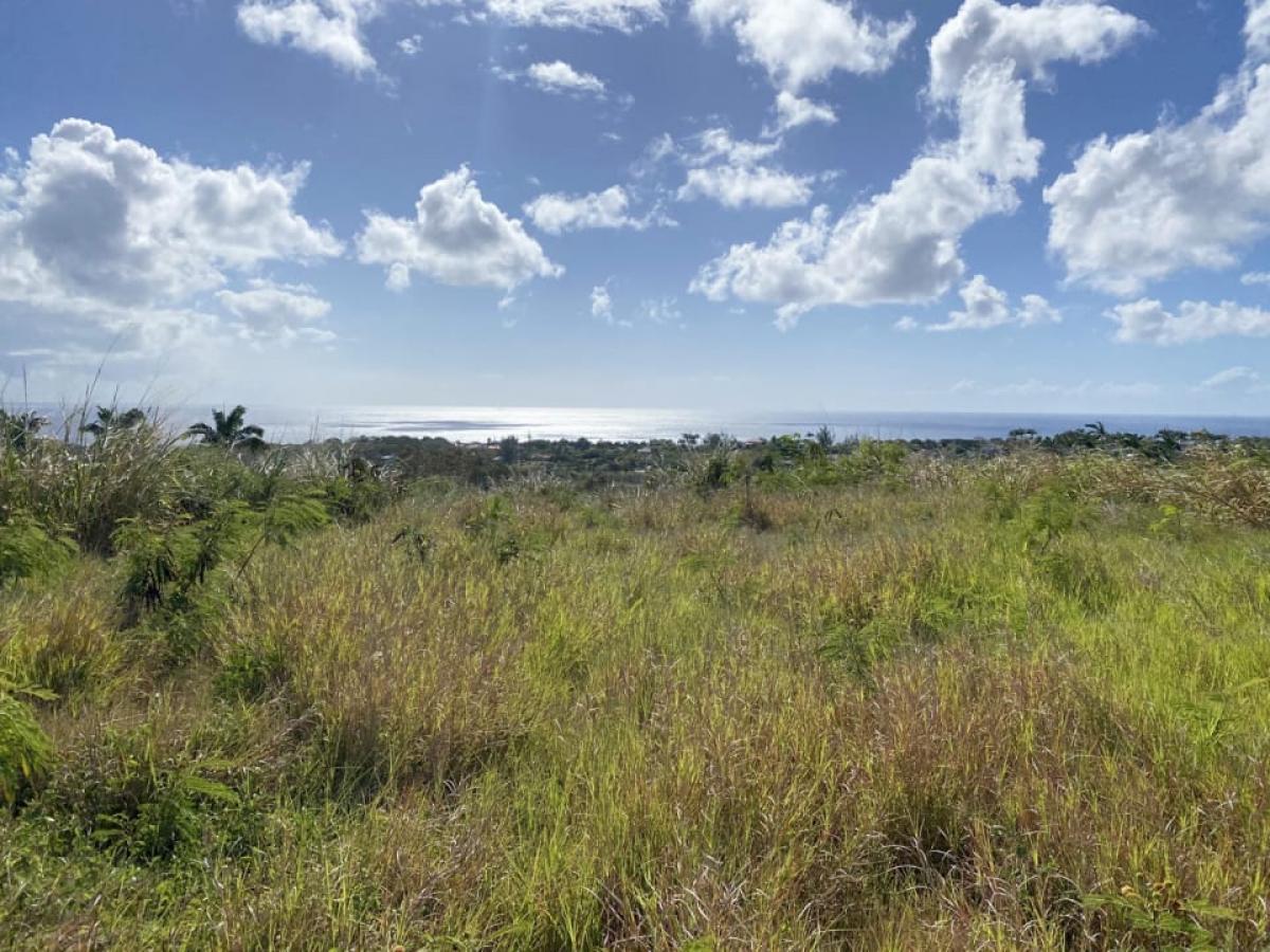 Picture of Residential Land For Sale in Saint James, Barbados, Barbados