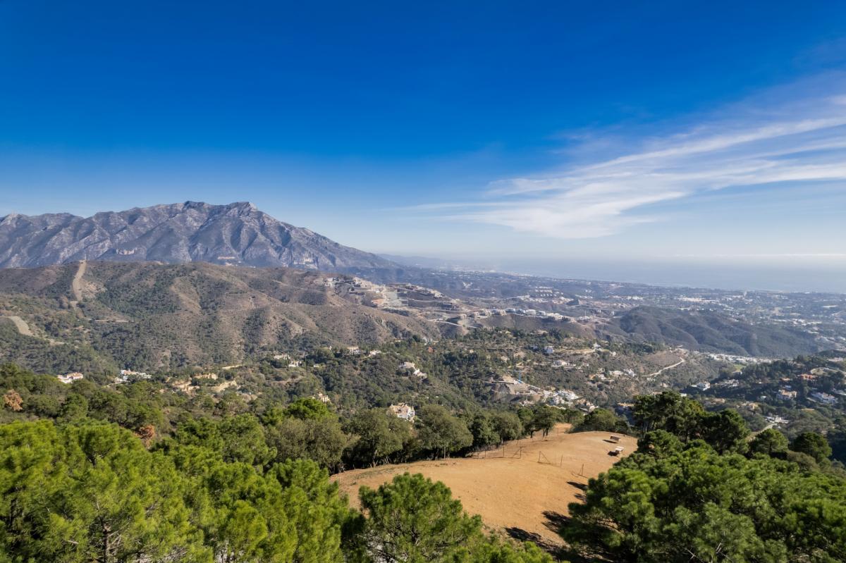 Picture of Residential Land For Sale in Benahavis, Malaga, Spain