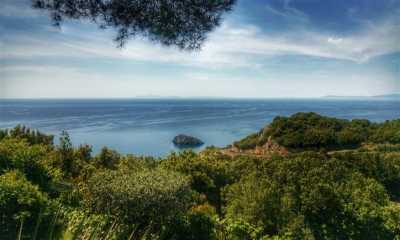 Villa For Sale in Monte Argentario, Italy