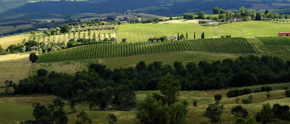 Picture of Home For Sale in Scansano, Tuscany, Italy