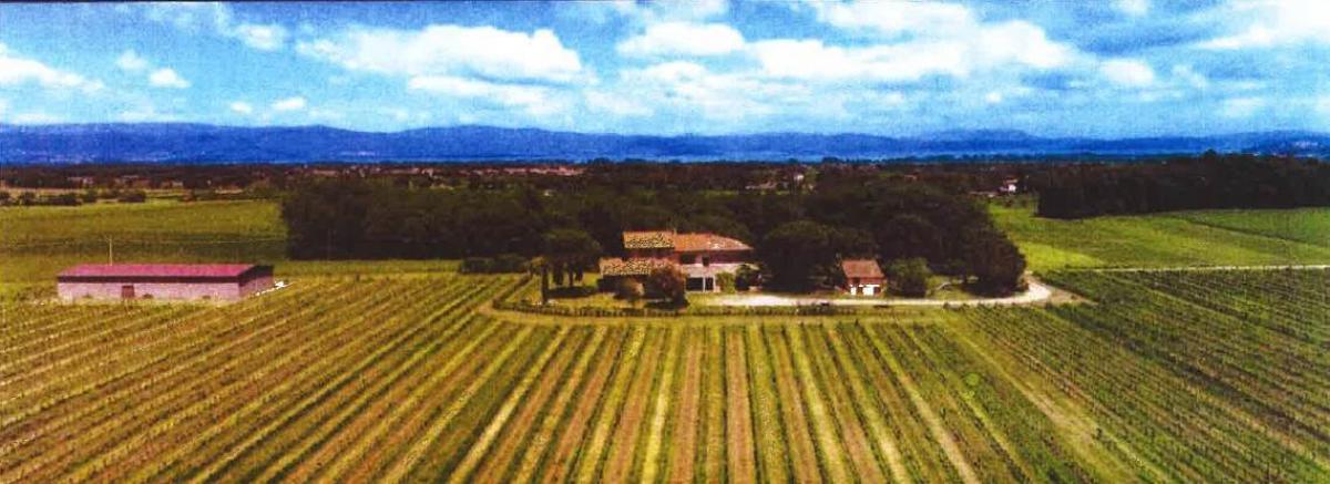 Picture of Residential Land For Sale in Castiglione Del Lago, Umbria, Italy