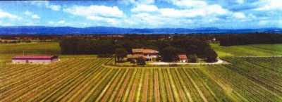 Residential Land For Sale in Castiglione Del Lago, Italy