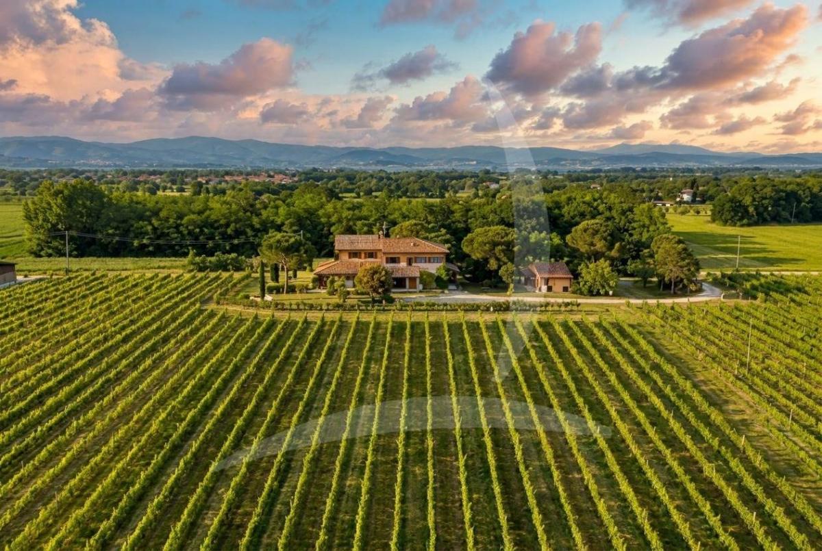 Picture of Home For Sale in Castiglione Del Lago, Umbria, Italy