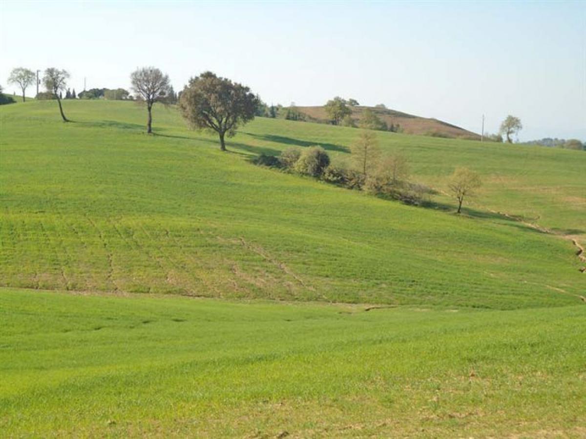 Picture of Residential Land For Sale in Scansano, Tuscany, Italy