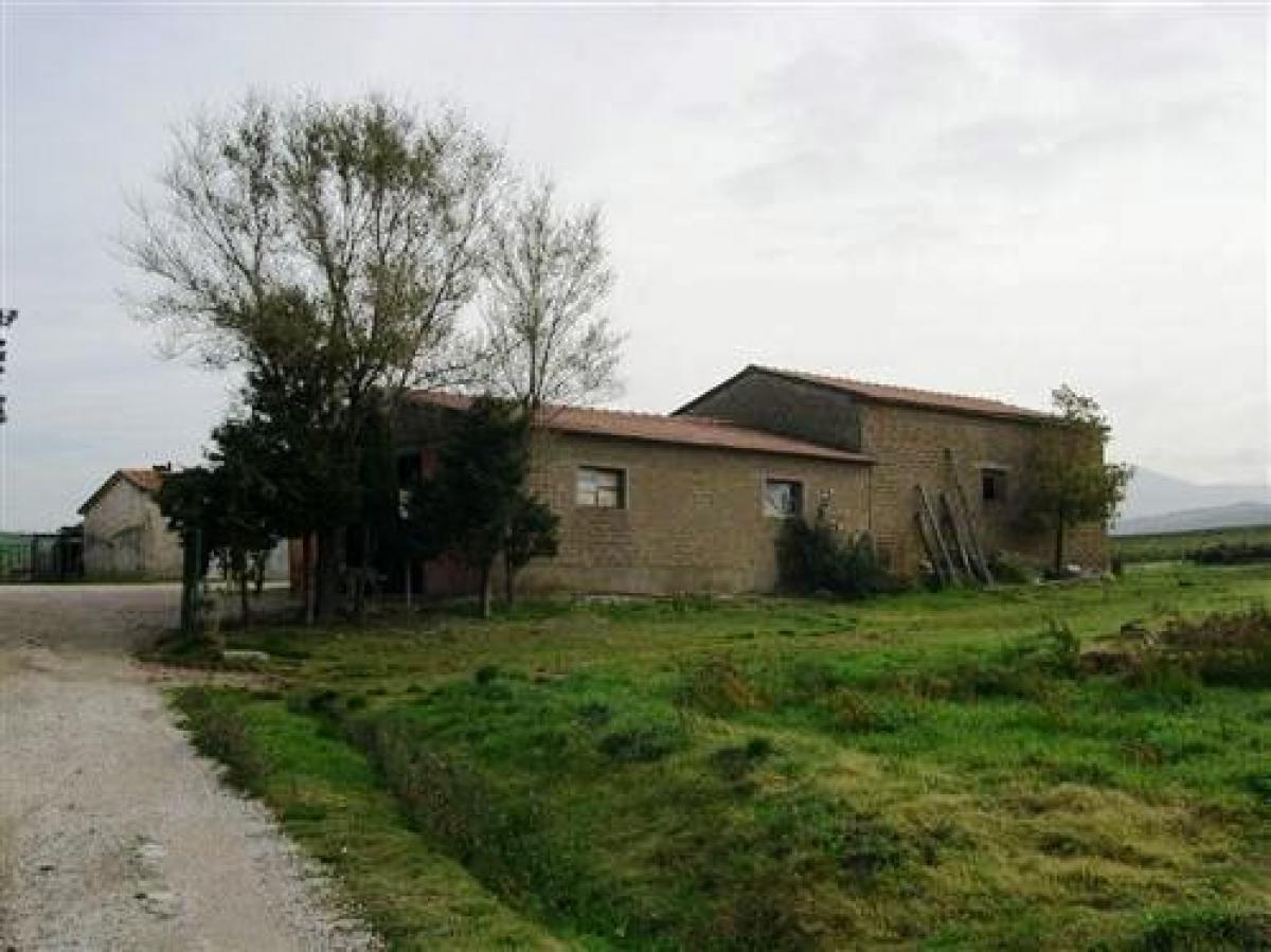 Picture of Residential Land For Sale in Cinigiano, Tuscany, Italy
