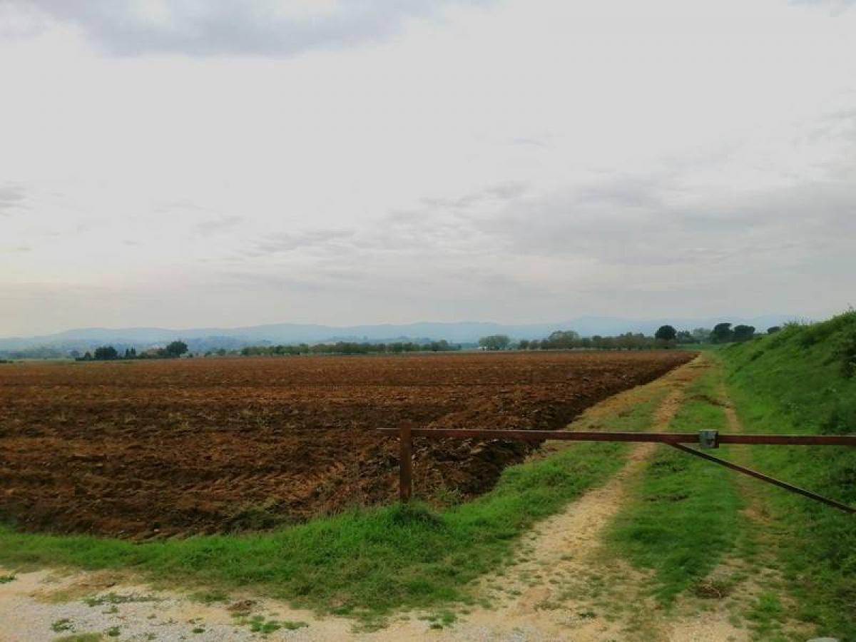 Picture of Residential Land For Sale in Montepulciano, Tuscany, Italy