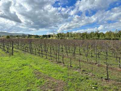 Home For Sale in Grosseto, Italy