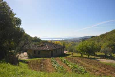 Home For Sale in Tuoro Sul Trasimeno, Italy