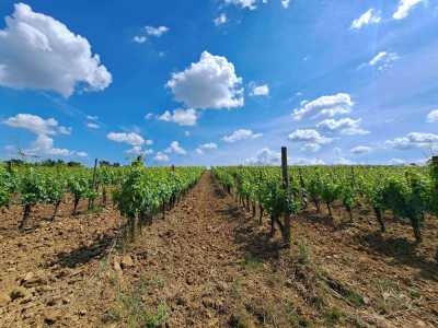 Residential Land For Sale in Montepulciano, Italy