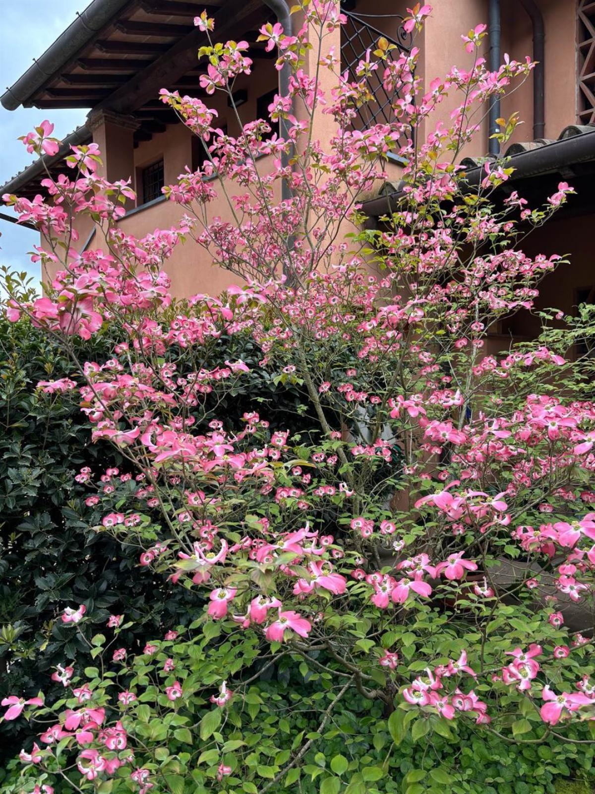 Picture of Home For Sale in San Miniato, Pisa, Italy